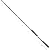 Sakura Ionizer G2 Long Range Ingsl Spinning Rod Argenté 2.58 m / 15-50 g