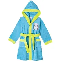 Interbaby Bathrobe Bleu 14-16 Years Garçon