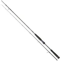 Daiwa Canne Spinning Labrax Seabass