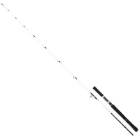 Daiwa Canne Jigging Saltist Off Shore