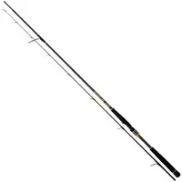 Daiwa Canne Spinning Morethan Branzino Ags