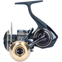 Daiwa Moulinet Spinning Bg Mq Ark 2020