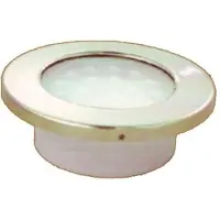 Goldenship 176ma Indoor/outdoor Round Led Light 76.2 Mm 12v Blanc