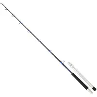 Daiwa Canne Traine Saltiga