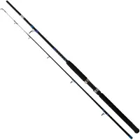 Cinnetic Canne Pêche De Fond Blue Win Classic Boat