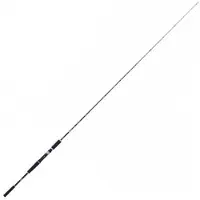 Seika Canne Jigging Shibani