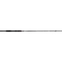 Cinnetic Canne Spinning Sky Line Bass Evolution