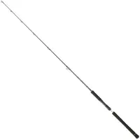 Daiwa Canne Jigging Legalis