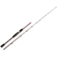 Akami Canne à Jigging Légère Wawa Ip
