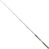 Cinnetic Canne à Pêche Pour Poisson-chat Rextail Float Tube