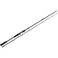 Molix Canne Baitcasting Fioretto Trofeo 2 Sections