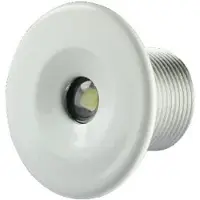 Lumitec Echo Courtesy Light Clair