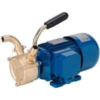 Liverani Pompe Auto-amorçante Ep40 24v