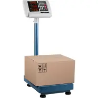 Steinberg Systems Balance plateforme - 100 kg / 0,01 kg - 40 x 30 cm - rabattable - LED