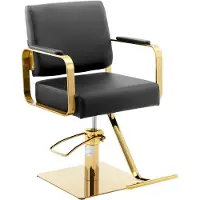 Physa Fauteuil de coiffure Expondo avec repose-pieds - 50 - 66 cm - 200 kg - Noir, doré