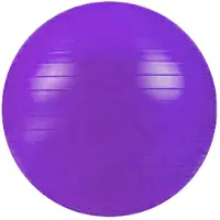 Softee Fitball Flexi