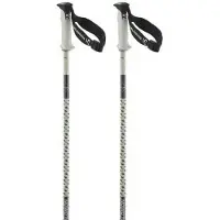 Salomon Bâtons Polar Pro S3