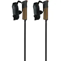 Fischer Gt 11 Carbon Mag Poles Marron 125 cm
