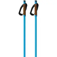 Fischer Storm Gtx M Poles Clair 170 cm