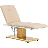 Physa Fauteuil esthétique - 3 moteurs - 300 W - 190 x 65 x 60 - 76 cm - 200 kg - beige/or