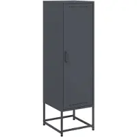 vidaXL Highboard Anthracite 36x39x123 cm Acier