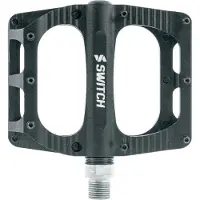 Nintendo Switch Freeride Pedals Argenté