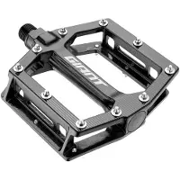 Giant Original Mtb Core Pedals Argenté