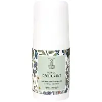 Raunsborg Déodorant Roll-on 75 Ml