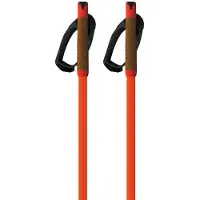 Fischer Storm Gtx L Poles Orange 170 cm