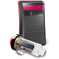 CTX Go Salt Ph Cl2/hr 30m³ 7 Gr Salt Electrolysis Equipment Gris