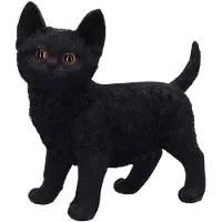 Nemesis Now Articles De Décoration Gothic de - Charmed Companion - pour Indifférent - Standard - Taille Standard