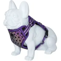Freedog Boreal Dog Harness Multicolore 20 mm x 38-75 cm