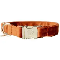 Kentucky Velvet Dog Collar Marron 28-40 cm