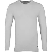 Ralph Lauren T-Shirt 'Spring Start SHP 6' gris clair