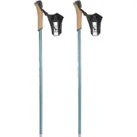 Rossignol Ft-600 Cork Poles Argenté 155 cm Homme