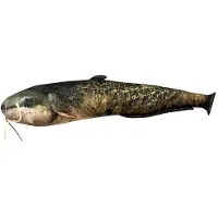 Energoteam Oreiller Poisson-chat