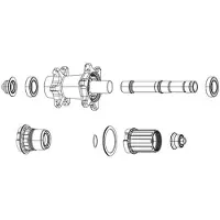 Zipp Spring And Pawl Kit For Zr1 Hubs 6 Units Noir