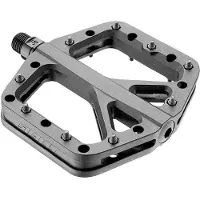 Giant Pinner Elite Pedals Argenté