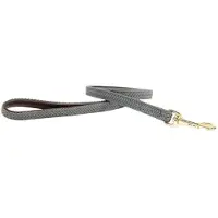 Kentucky Nylon Plaited Dog Leash 15 Mm Doré 15 mm x 120 cm
