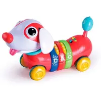 Tachan Rainbow Puppy With Remote Control And Activities Spanish Multicolore 18-24 Months Enfants