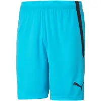Puma Hommes, Bas de sport, Short teamLIGA-704924 (52, L), Bleu
