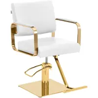 Physa Fauteuil de coiffure Expondo avec repose-pieds - 50 - 66 cm - 200 kg - blanc/doré