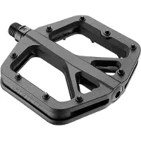 Giant Pinner Comp Pedals Argenté