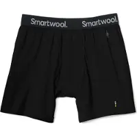 Smartwool Merino Brief Boxers Noir L Homme