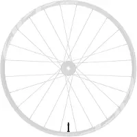 Zipp Universal Tubeless 44 Mm 1zero Valve Clair