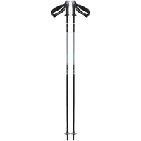 Salomon Polar Pro S3 Poles Argenté 125 cm