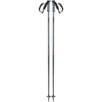 Salomon Bâtons Polar Pro