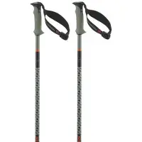 Salomon Bâtons Polar Pro S3