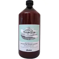 Davines Natural Tech Detoxifying Scrub Shampoo 1000 ml