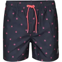 Petrol Industries Shorts de bain 'Nautify'